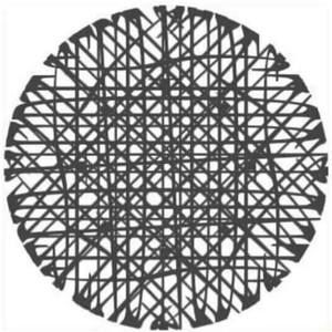 Meet your Posher, Georgie